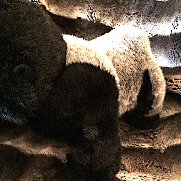 RARE NEW SHOWROOM SAMPLE STARS IN THE WILD PLUSH BLACK AND GRAY GORILLA JUNGLE - Picture 7 of 12
